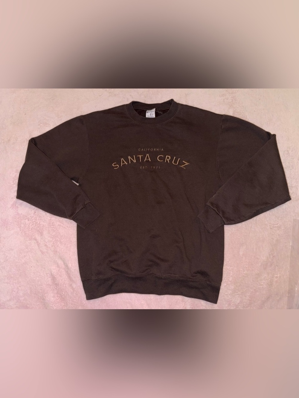 VINTAGE BROWN CHAMPION SANTA CRUZ SWEATSHIRT🤎